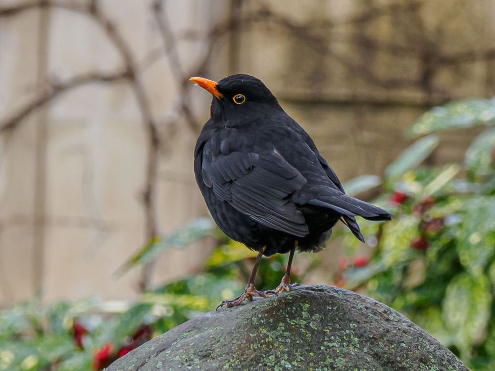 Photograph by Борис Полтавец