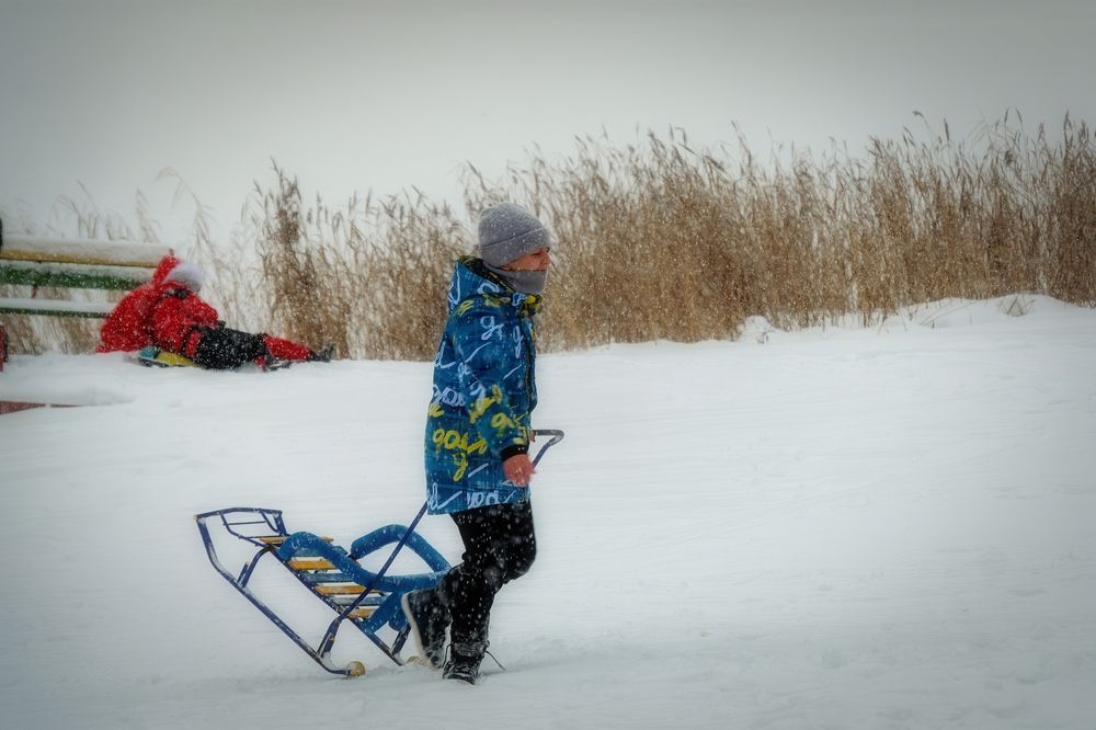 Photograph by Михаил Косолапов