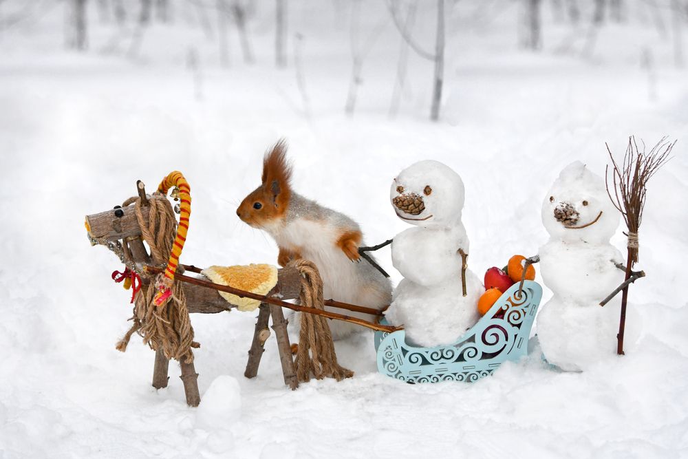 Спешим в гости