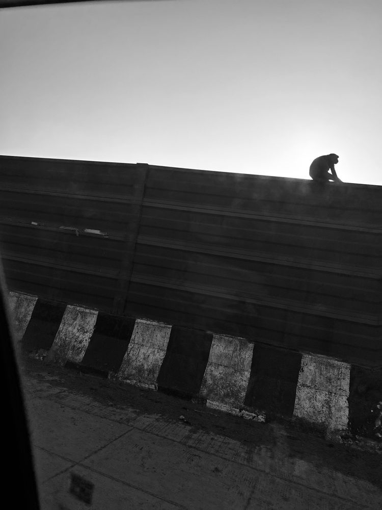 Photo #13092659