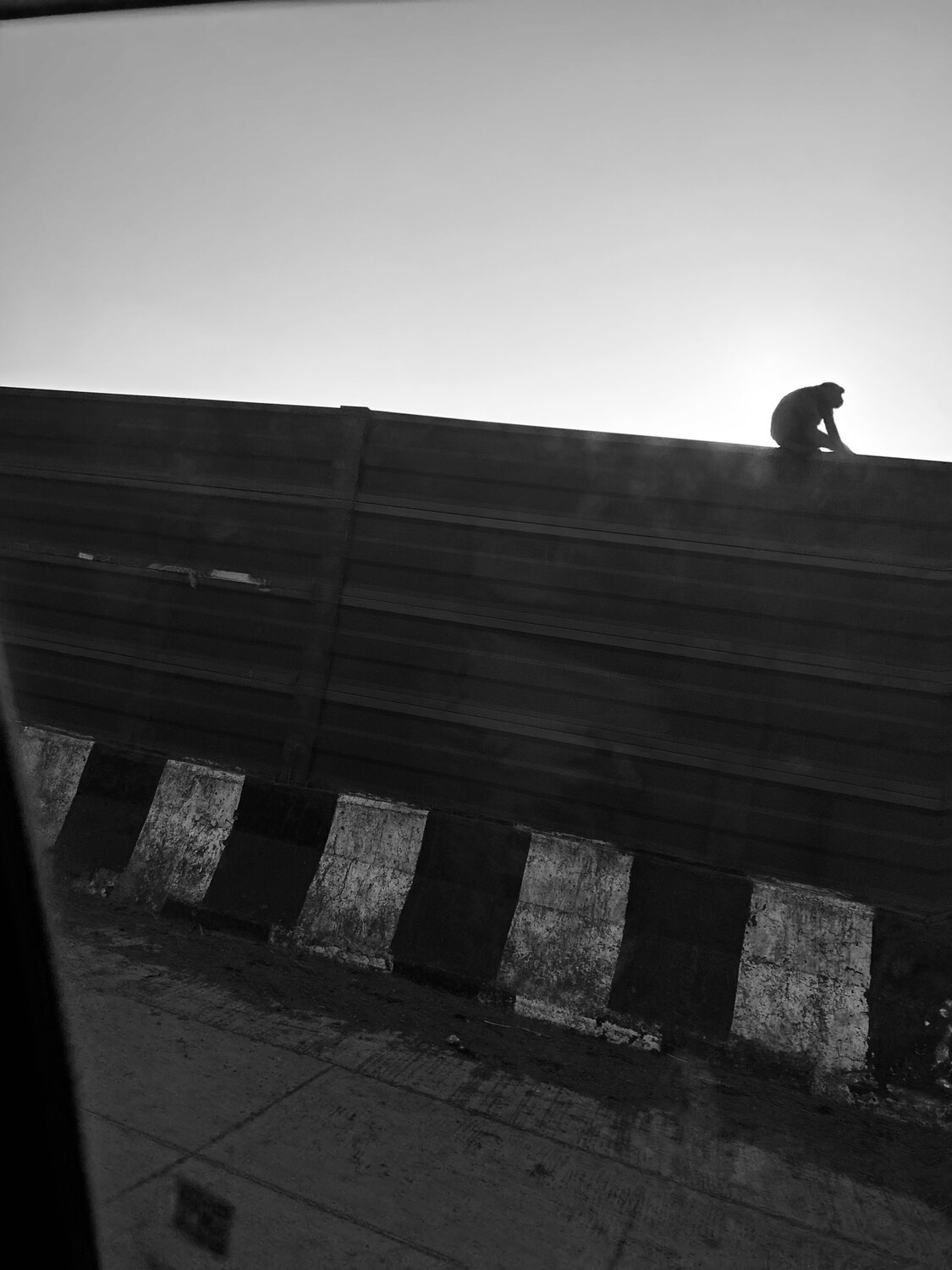Photo #13092659