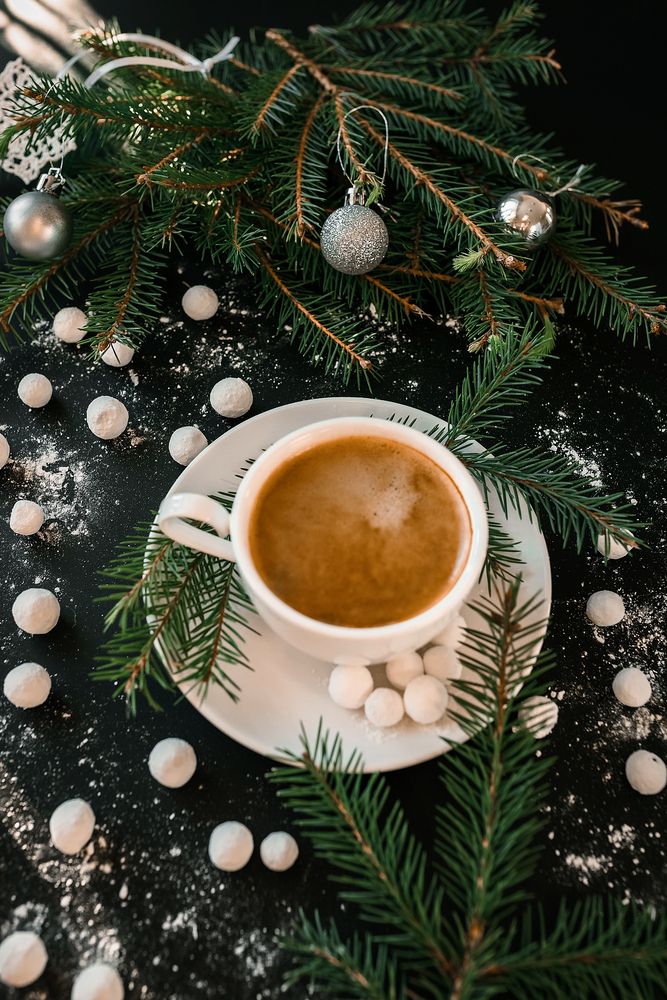 Фотография автора Альбина Кадочникова