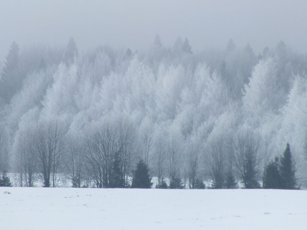 Фотография автора Андрей Шестаков