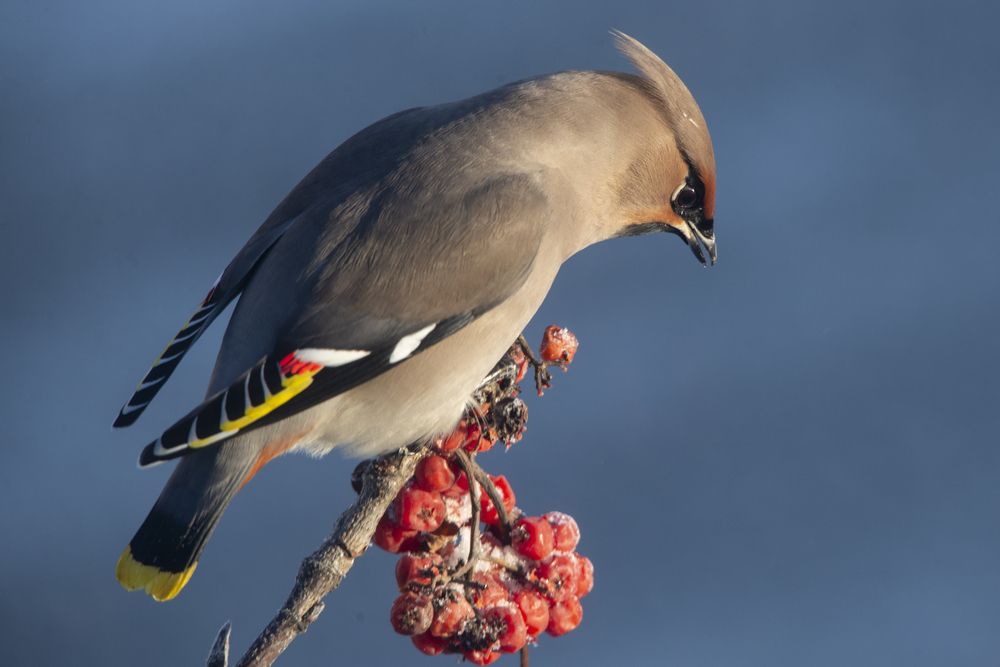 Photograph by Ольга Лукахина
