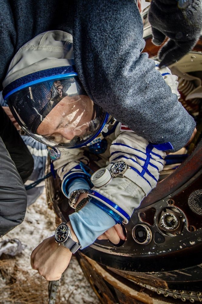 Добро пожаловать домой