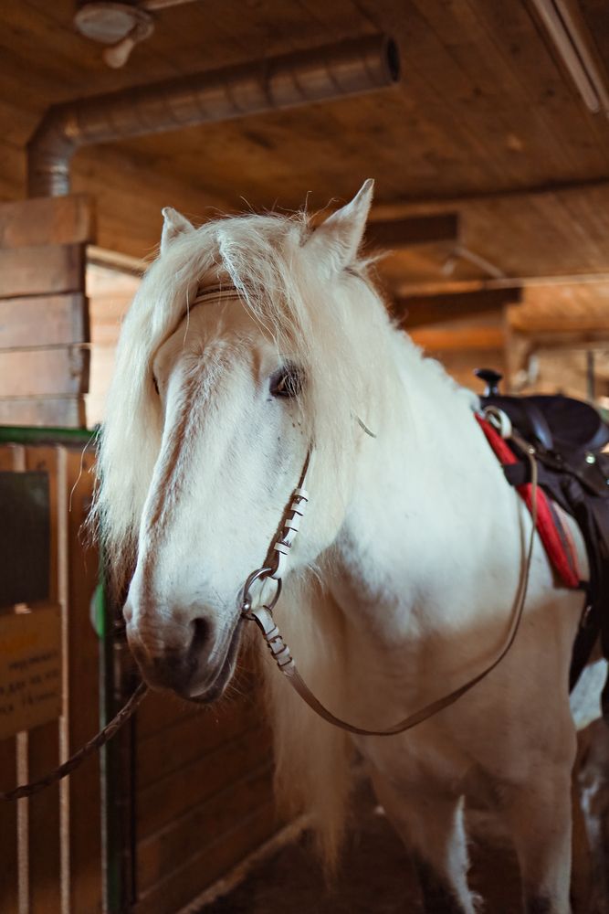 Photograph by Нина Пашина