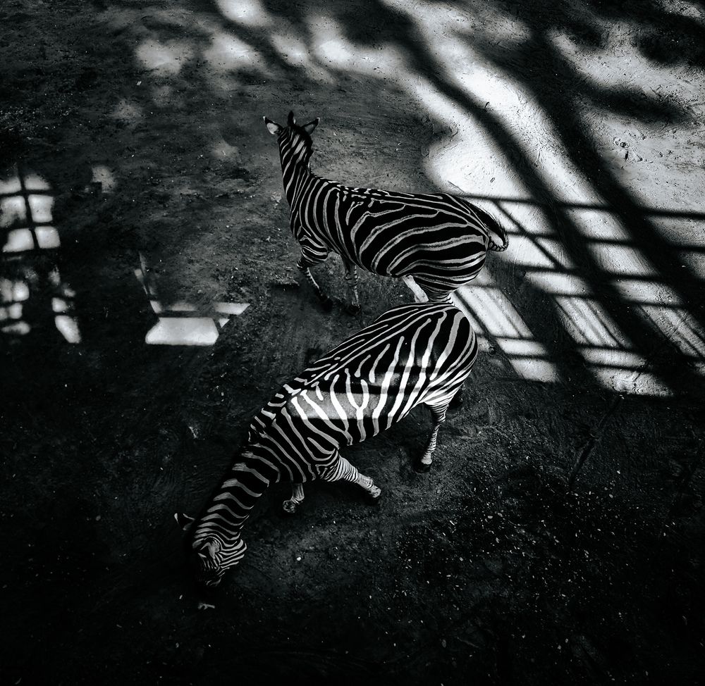 Photograph by infinity film
