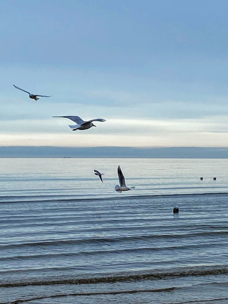 Photograph by Лидия Горностаева