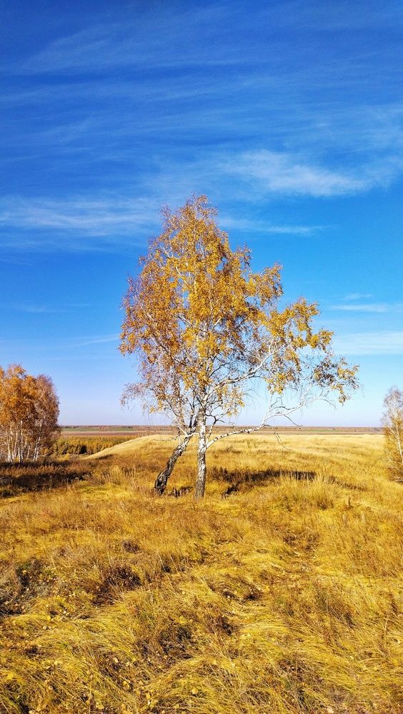 Осень.