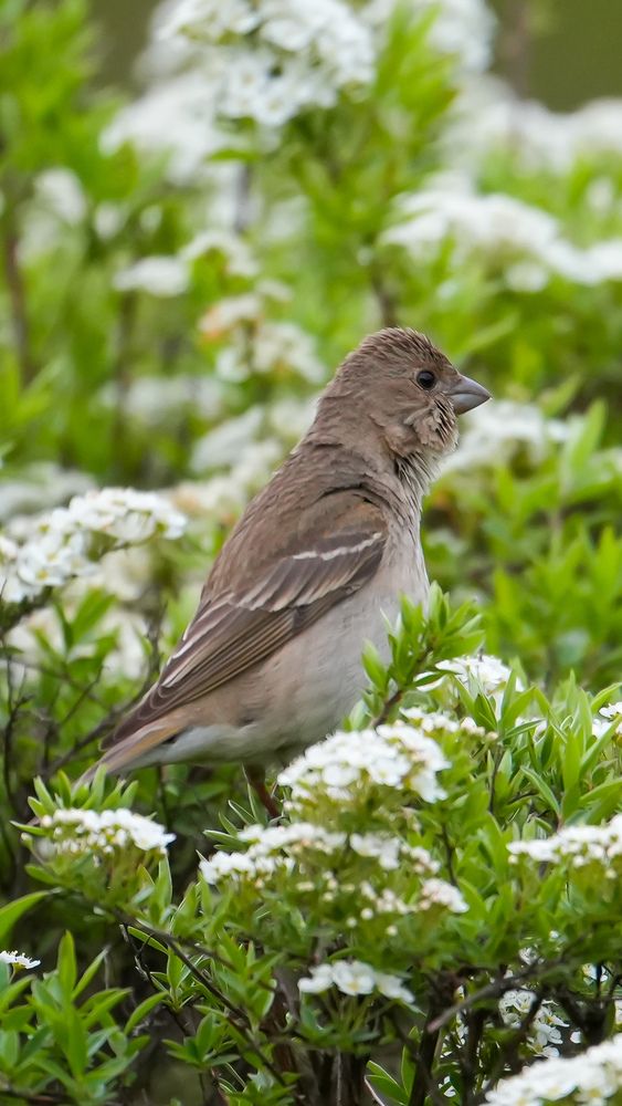 Photograph by Михаил Трусов