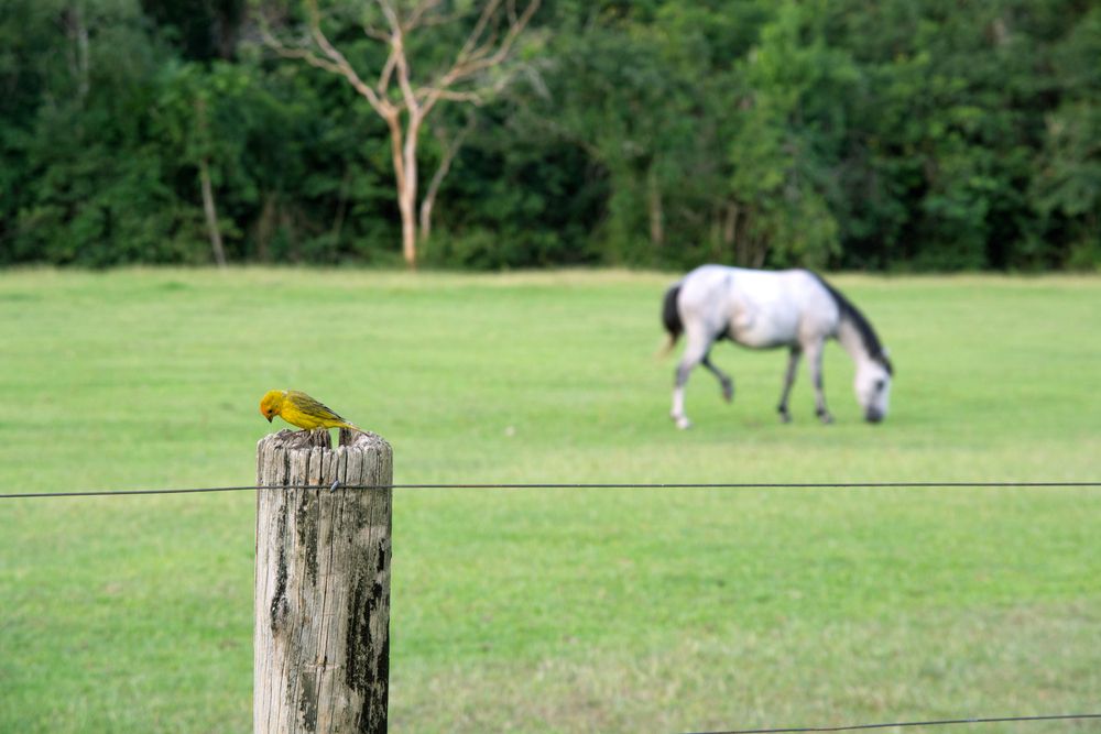 Photograph by Алена