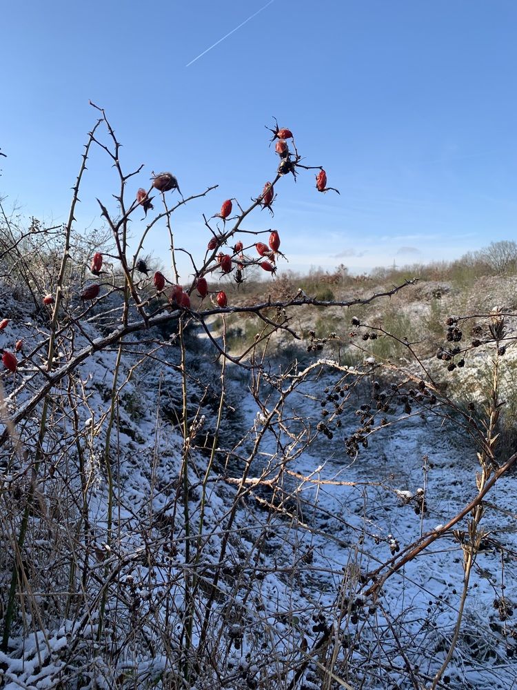 Photograph by Анастасия Мангольд