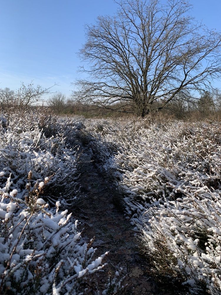 Photograph by Анастасия Мангольд