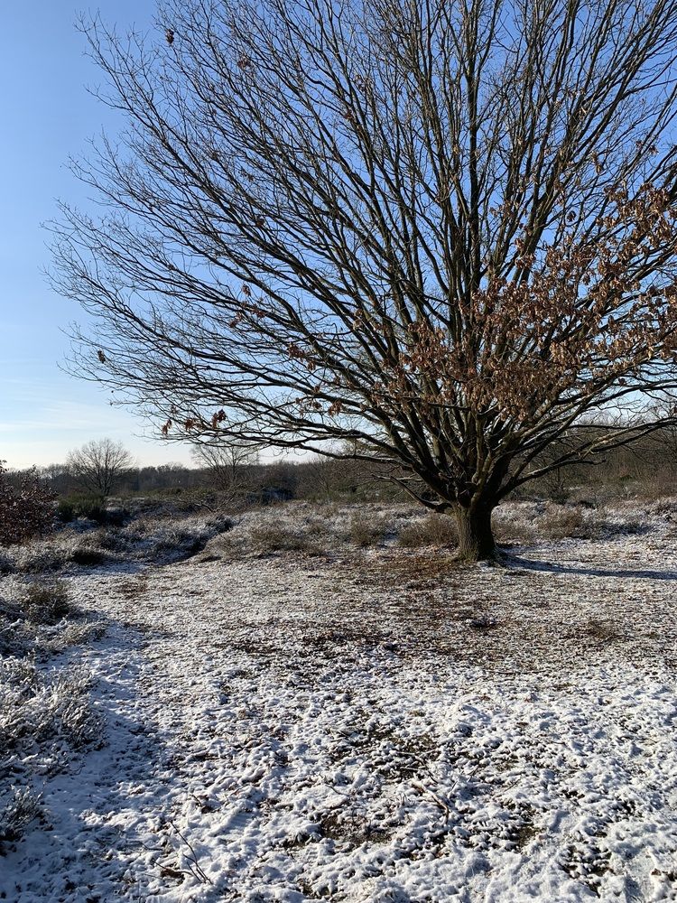 Photograph by Анастасия Мангольд