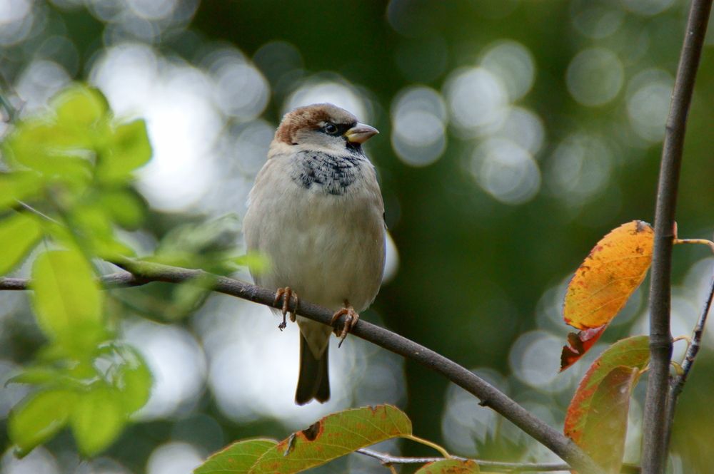 Фотография автора Sergej Roor