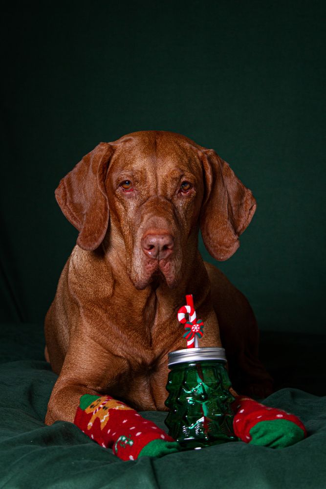 Photograph by Эльнара Исаева