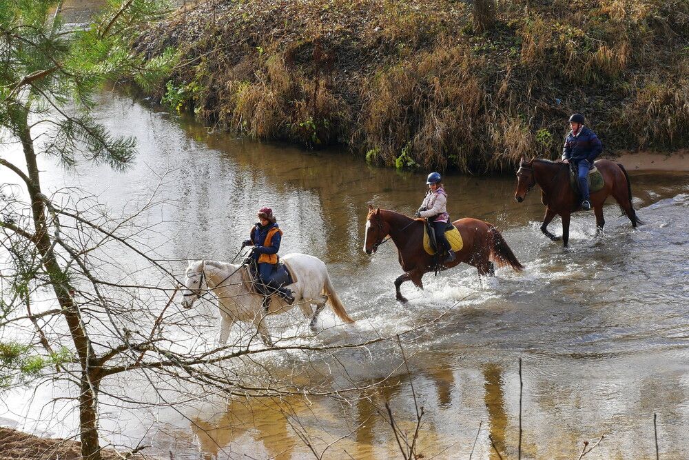 Фотография автора Владимир Лобанов