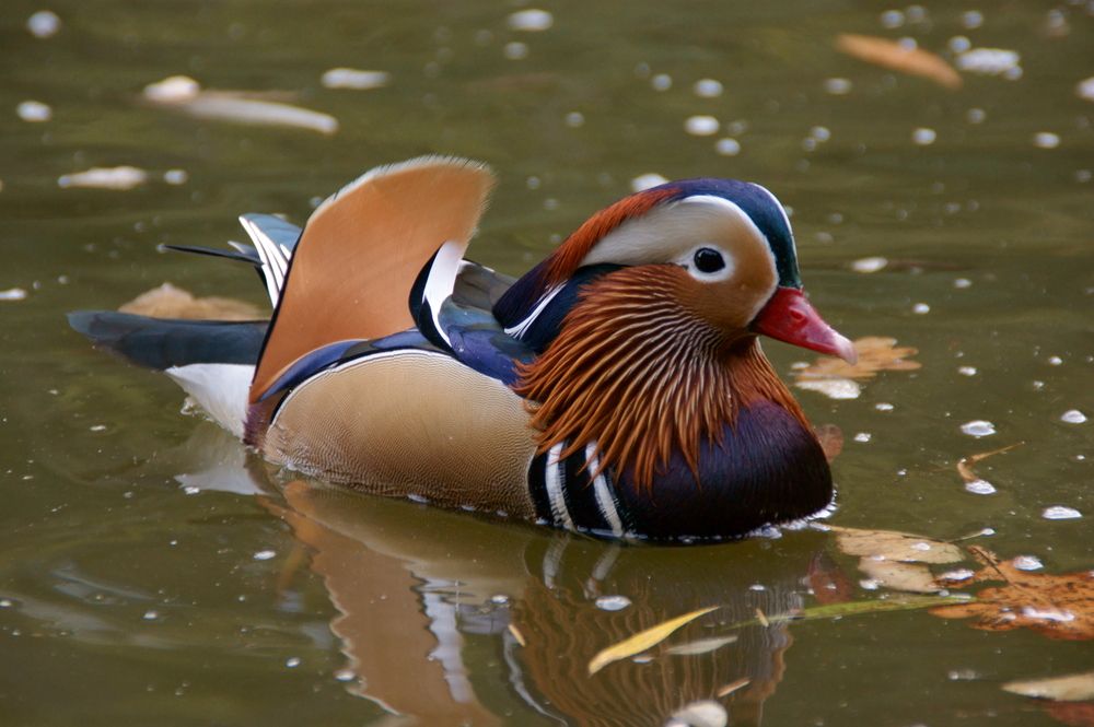 Фотография автора Sergej Roor