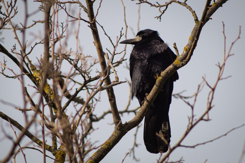 Photograph by Ариадна Подмогильная