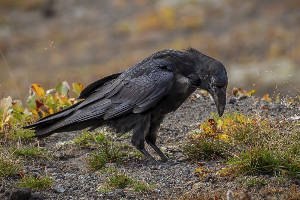 Photograph by Оксана О.