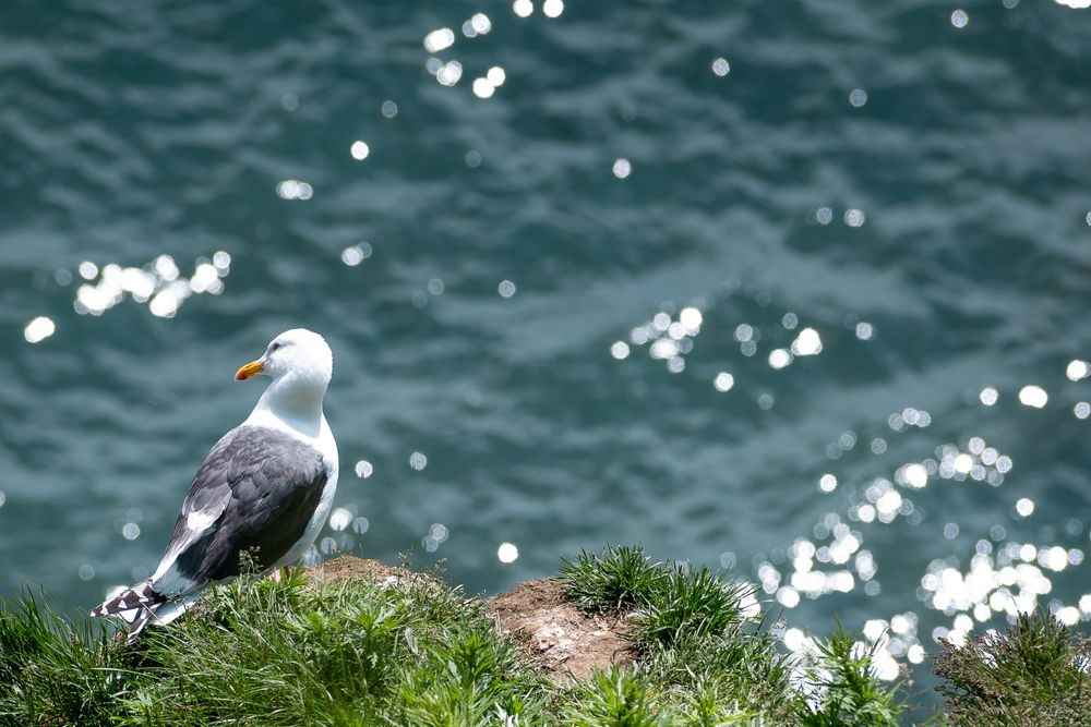 Photograph by Оксана О.