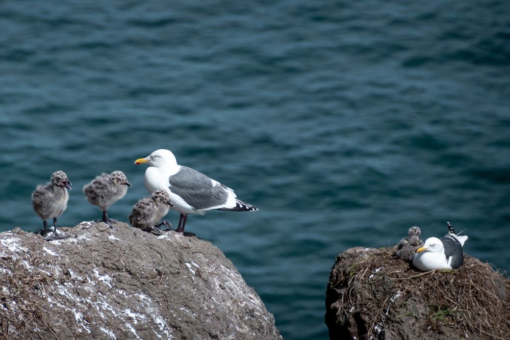 Photograph by Оксана О.