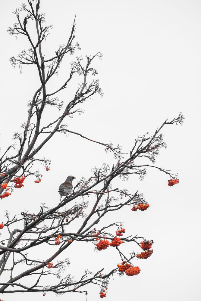 Фотография автора Александров Алексей