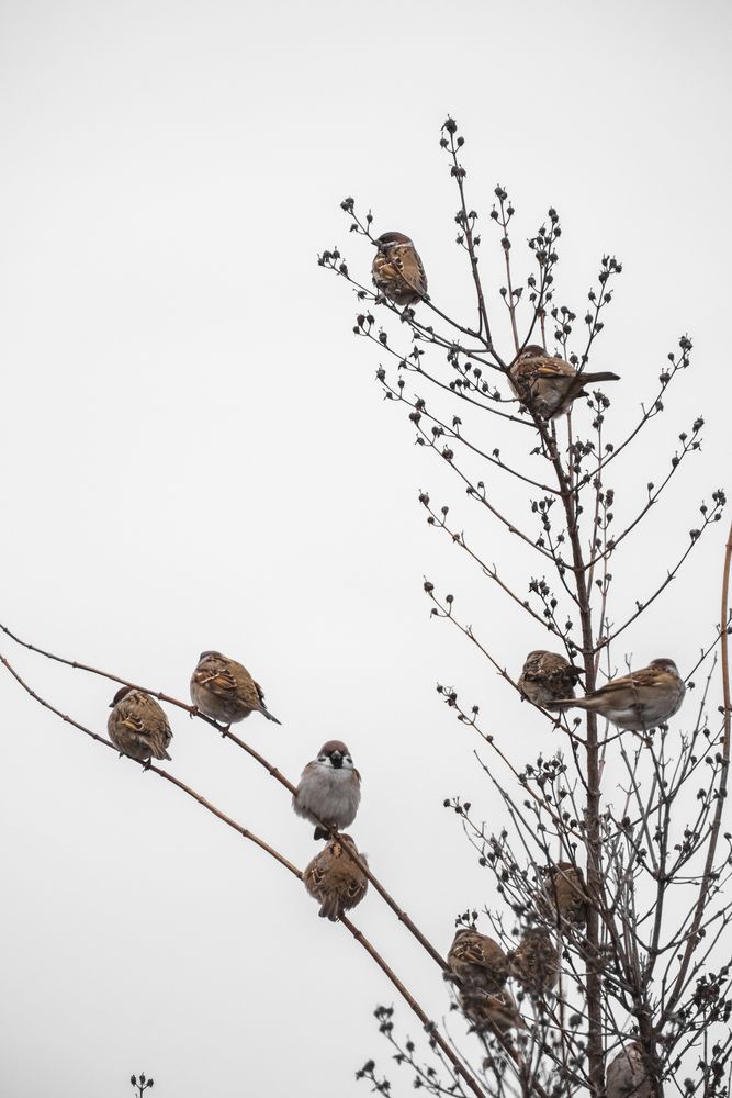 Фотография автора Александров Алексей