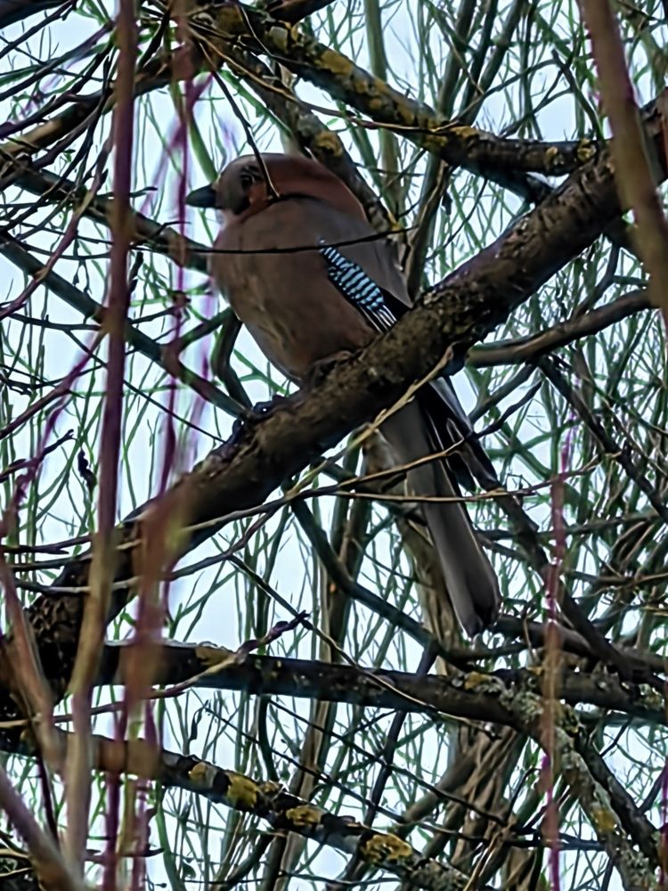 Фотография автора Елена Охапкина