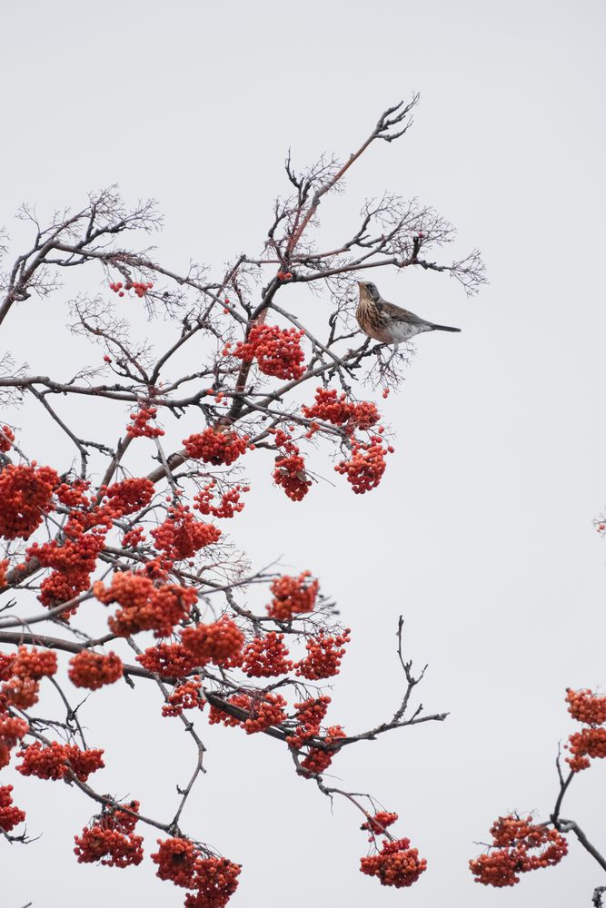 Фотография автора Александров Алексей