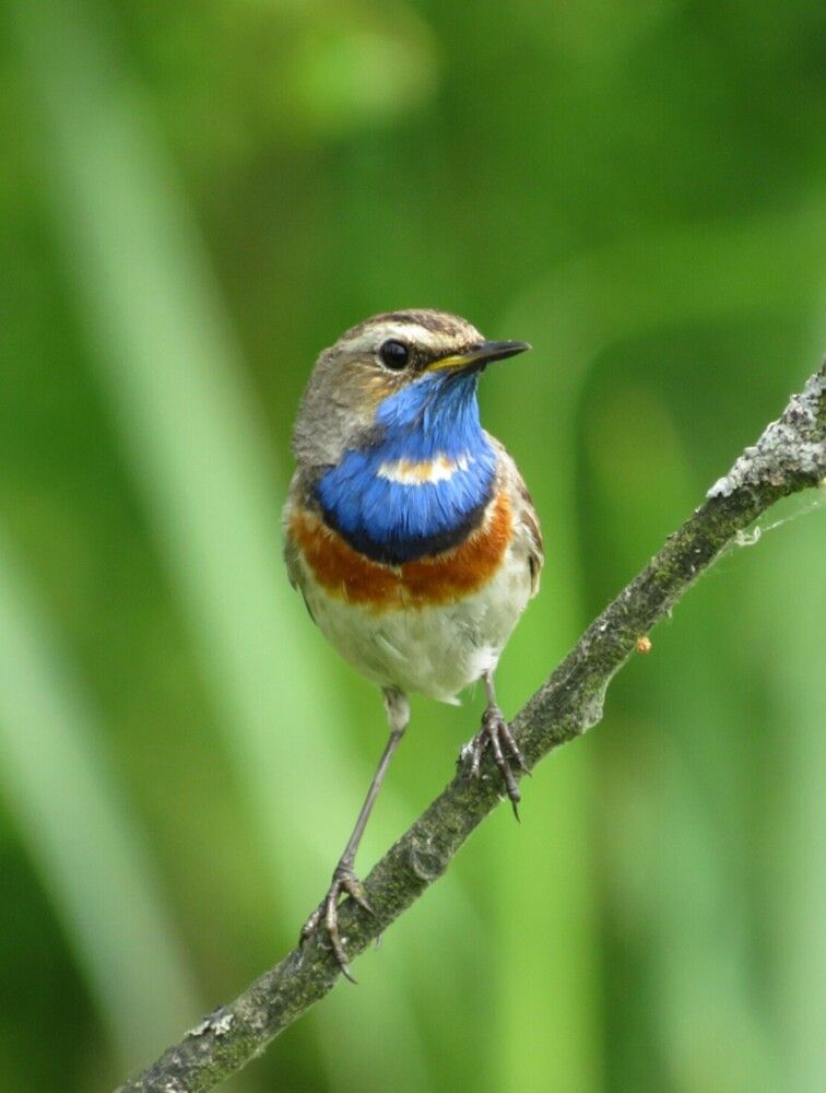 Photograph by Елена Кузина