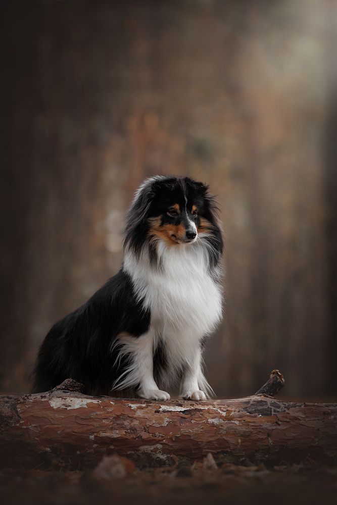 Photograph by Ольга Легенькая