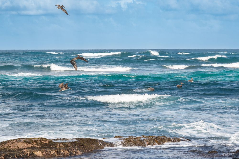 Фотография автора Bogdan Negoita