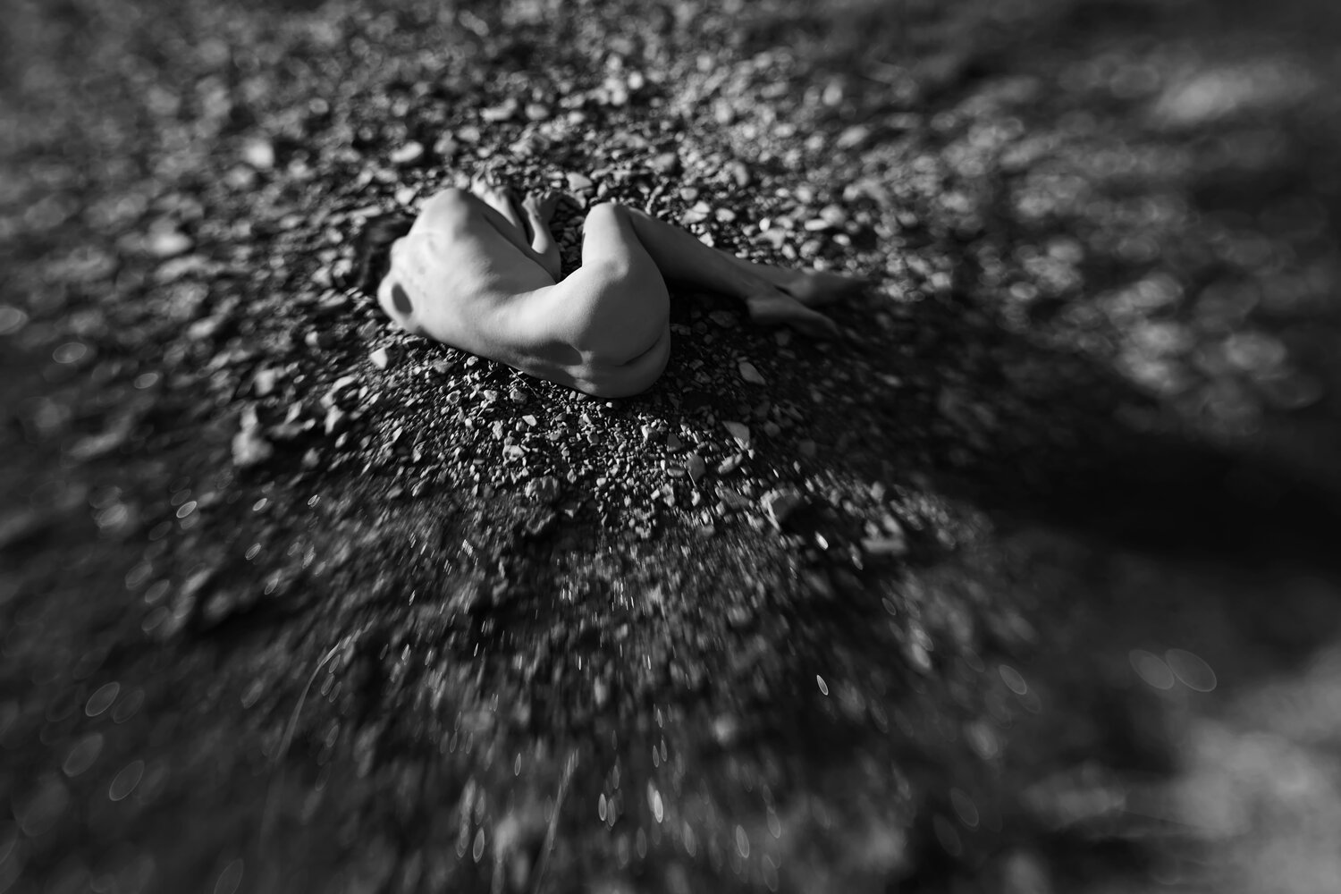 Photo #13093005