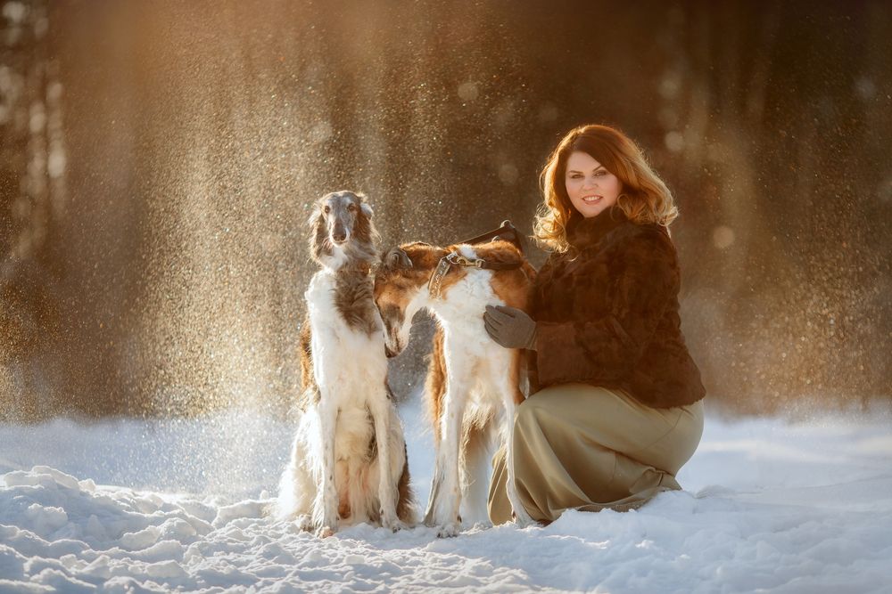 Фотография автора Онучина Юлия