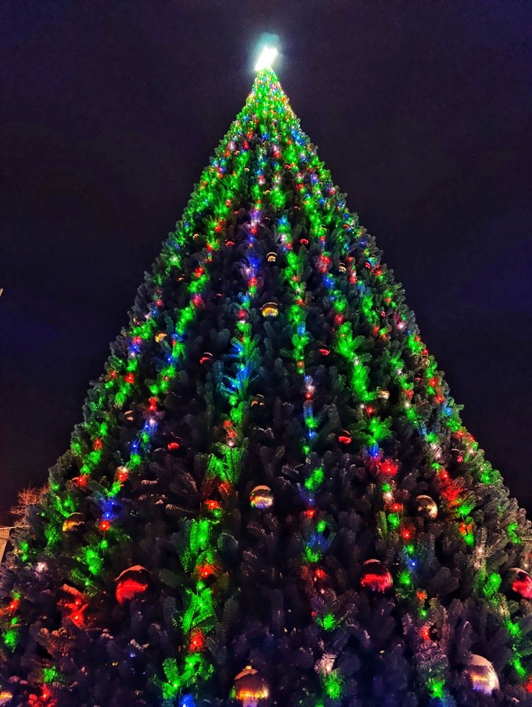 Фотография автора Юлия