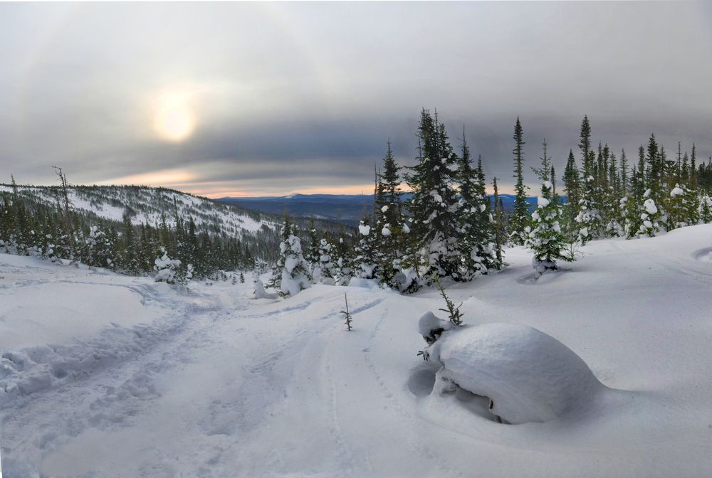 Photograph by Крат Светлана