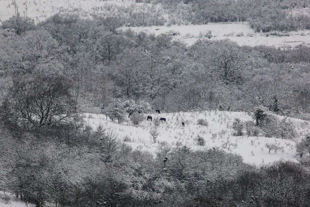 Фотография автора Дондокринчинов Бабжи