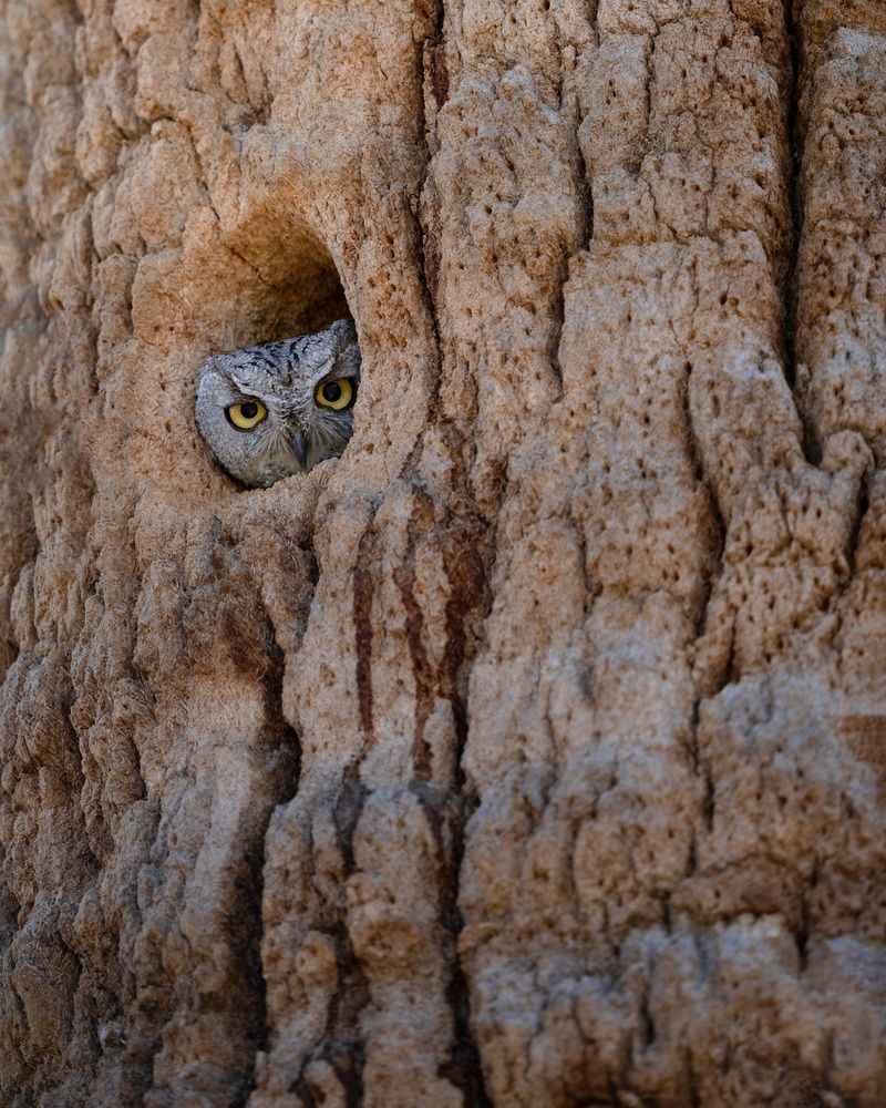 Фотография автора Karthik Subramaniam