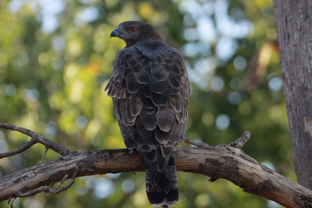 Photograph by anvita trivedi