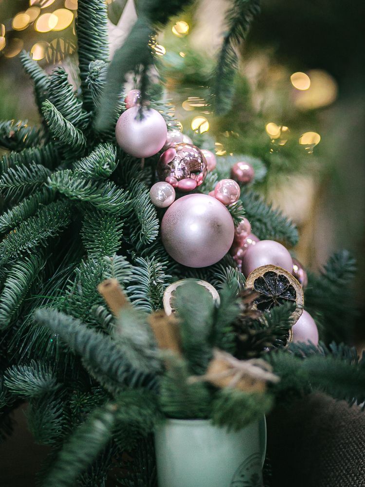 Photograph by Elena Chilikina