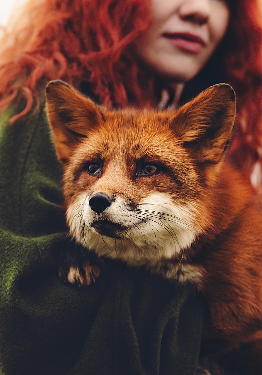Photo #13093168
