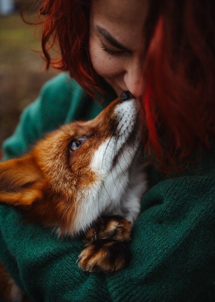 Photograph by Диана Минабутдинова