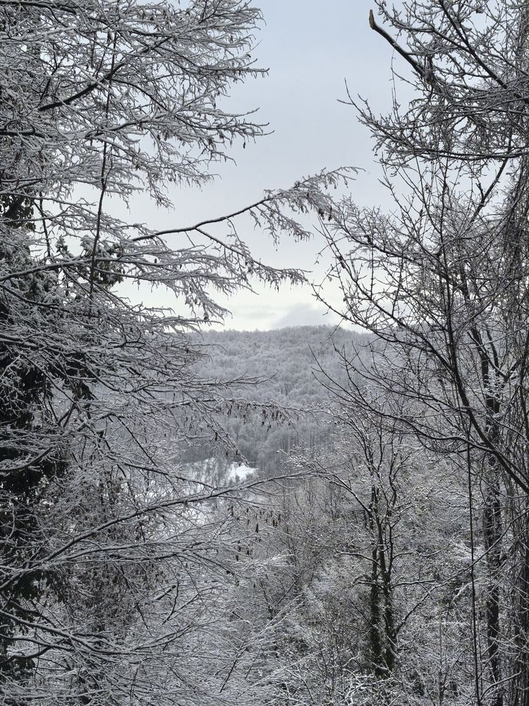 Photograph by Ксения Золотарь