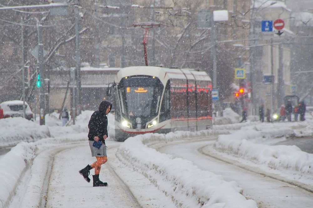 Снежный день