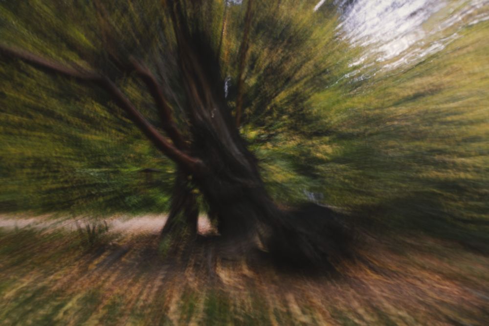 Photograph by Виктор Саврей