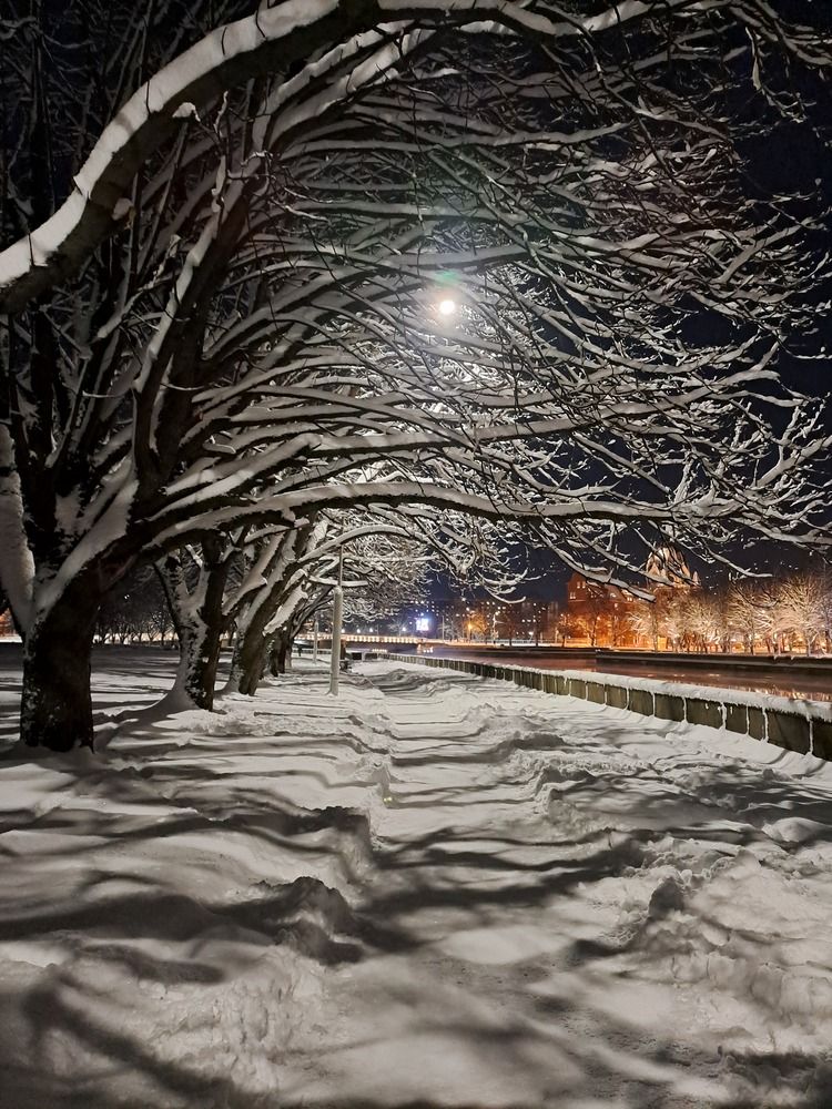 Photograph by Ирина Савельева