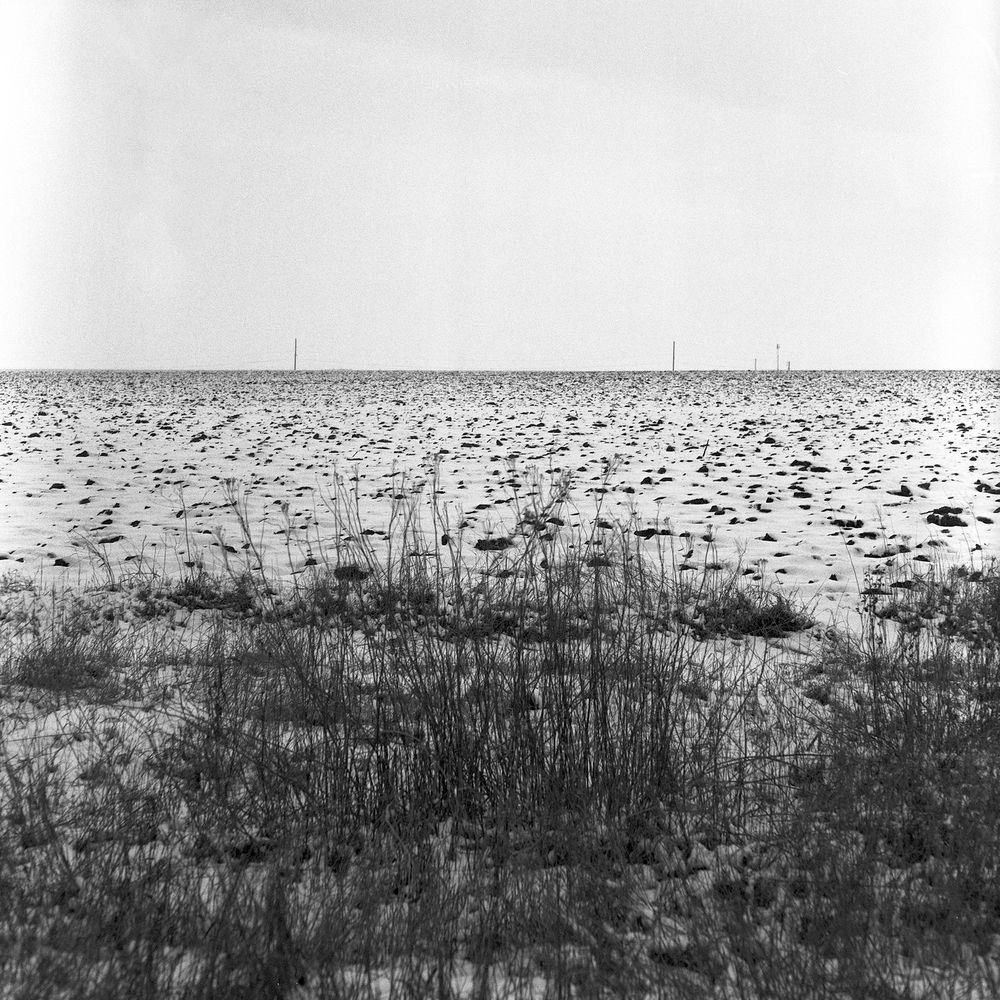 Photograph by Nicolas Varul