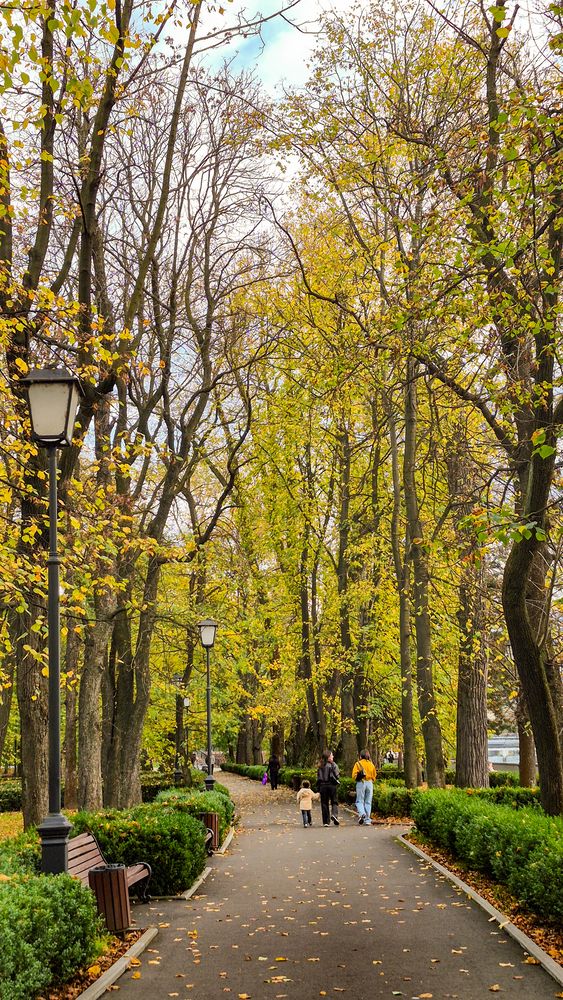 Photograph by Инна Майорова