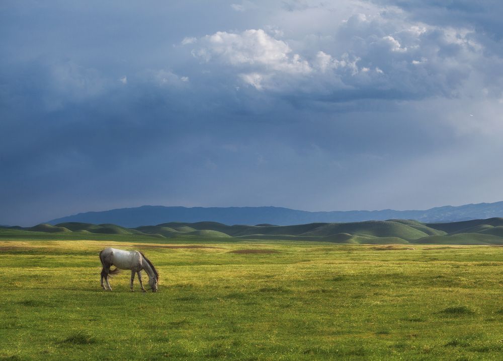 Photograph by Антон Садомов